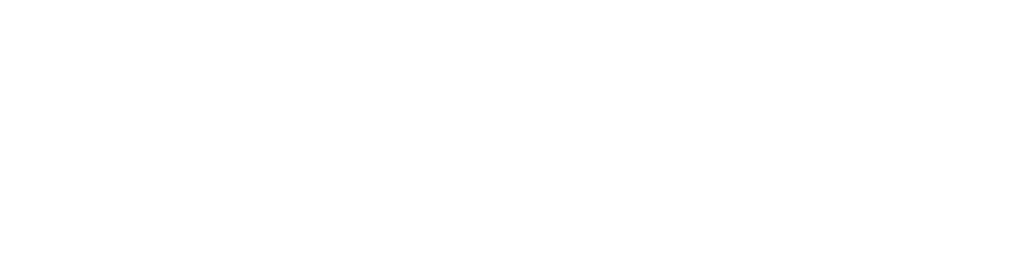 GESNAVI